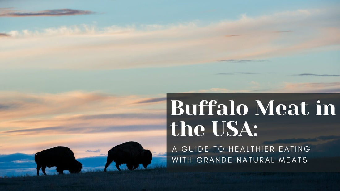 Buffalo Meat in the USA: A Guide to Healthier Eating