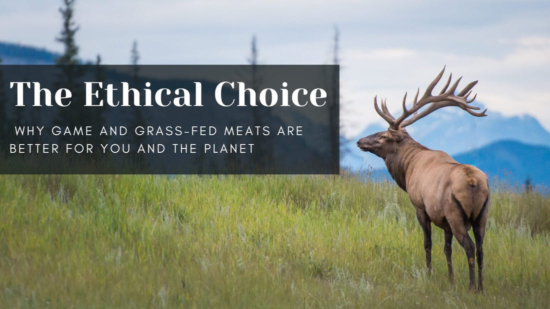 The Ethical Choice: Why Regeneratively Raised Meat Is Better for You and the Planet