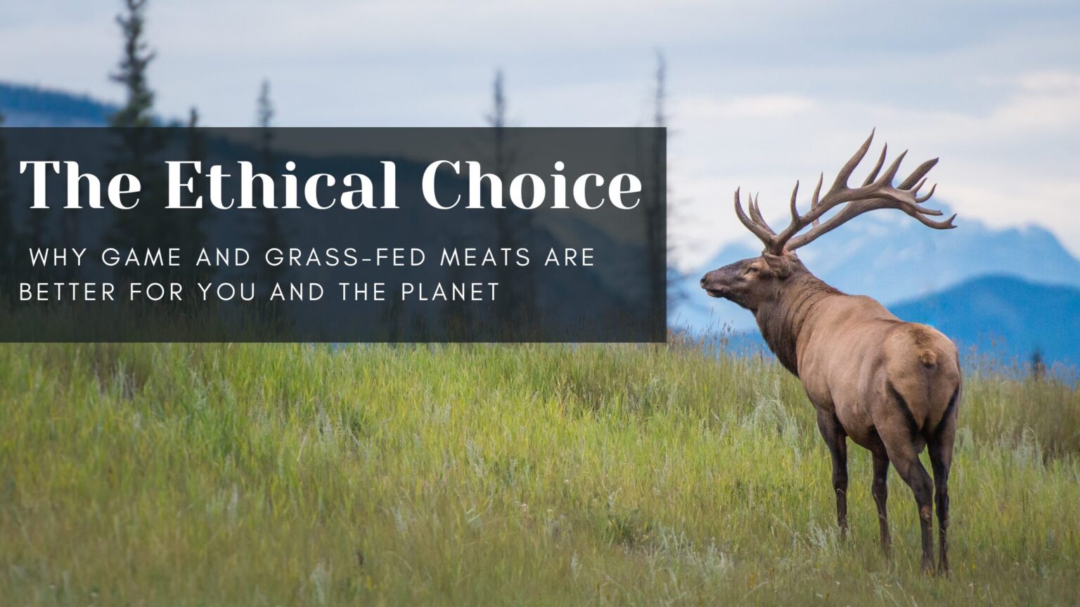 The Ethical Choice: Why Regeneratively Raised Meat Is Better for You and the Planet