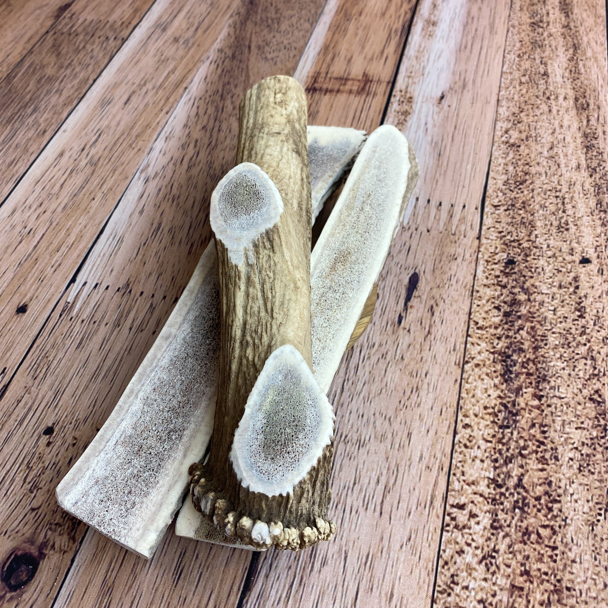Sliced Large Antler Chews