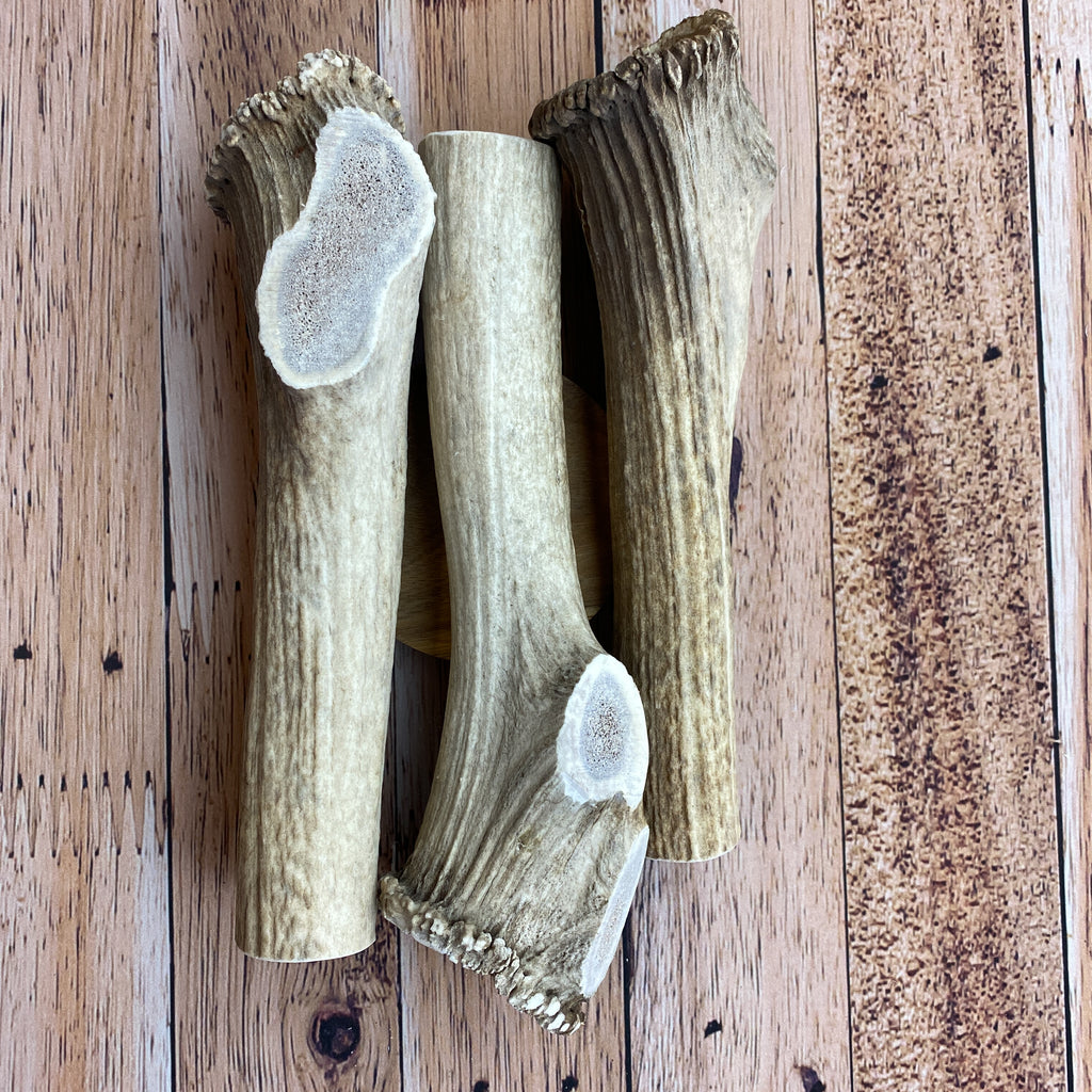 Large Antler Chews