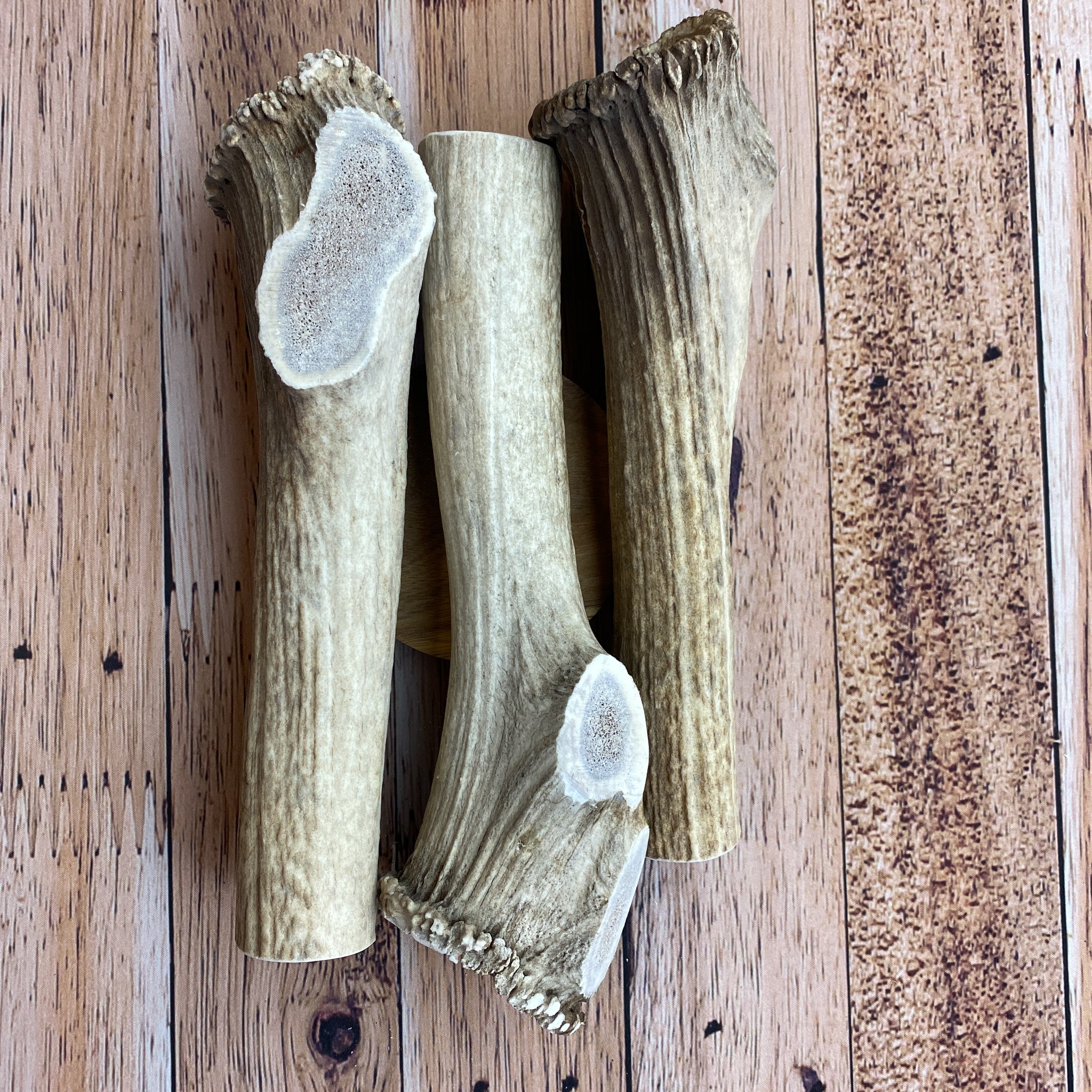 Large Antler Chews