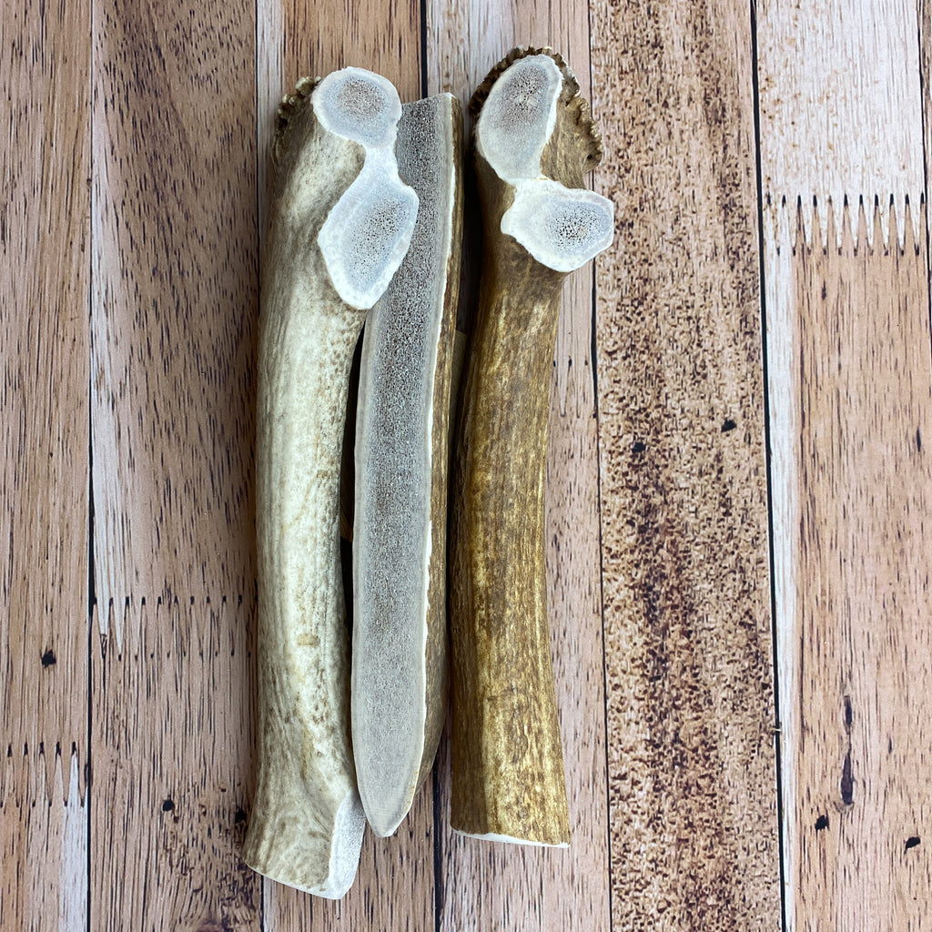Sliced Massive Antler Chews
