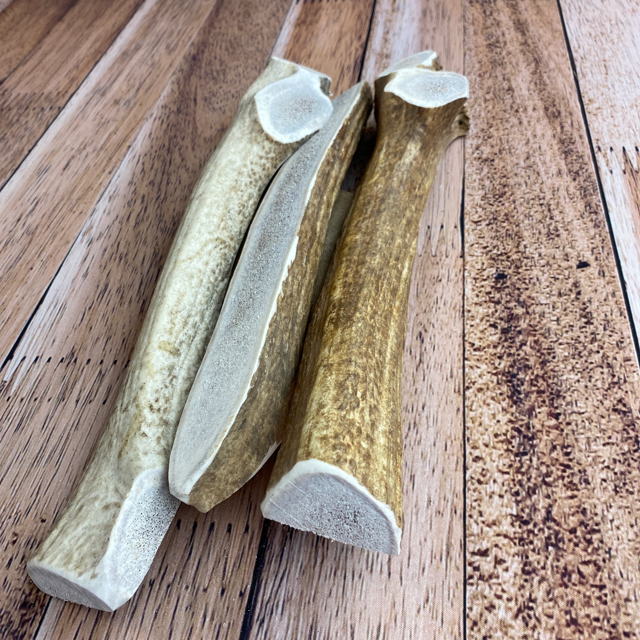 Sliced Massive Antler Chews