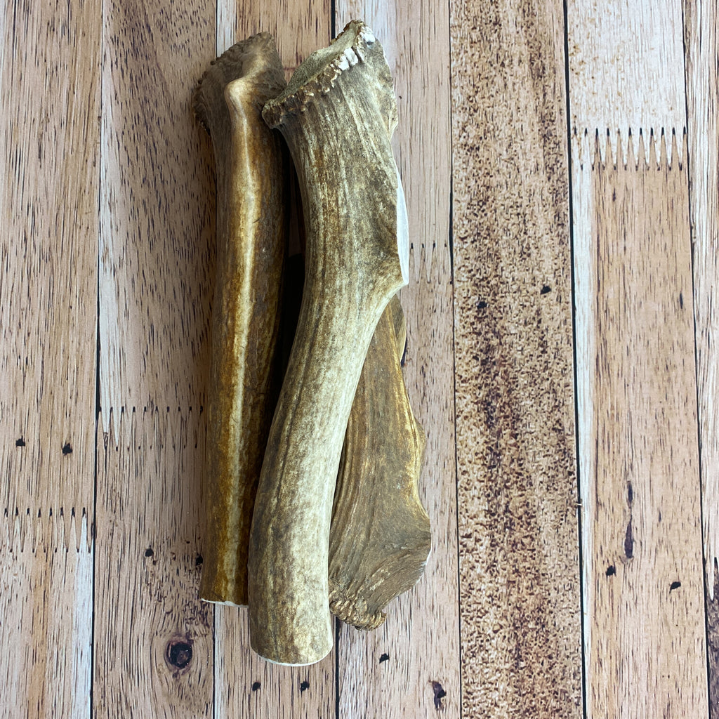 Massive Antler Chews