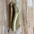Massive Antler Chews