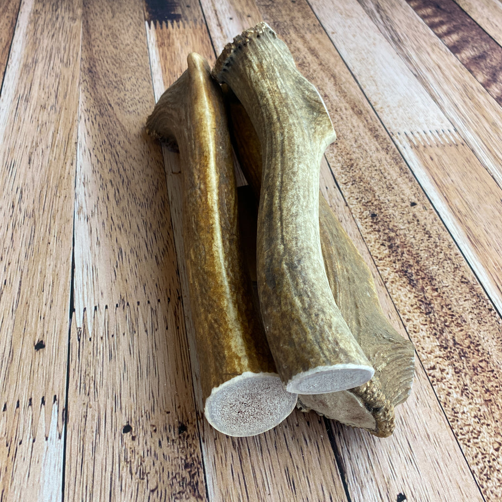 Massive Antler Chews