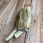 Medium Antler Chews