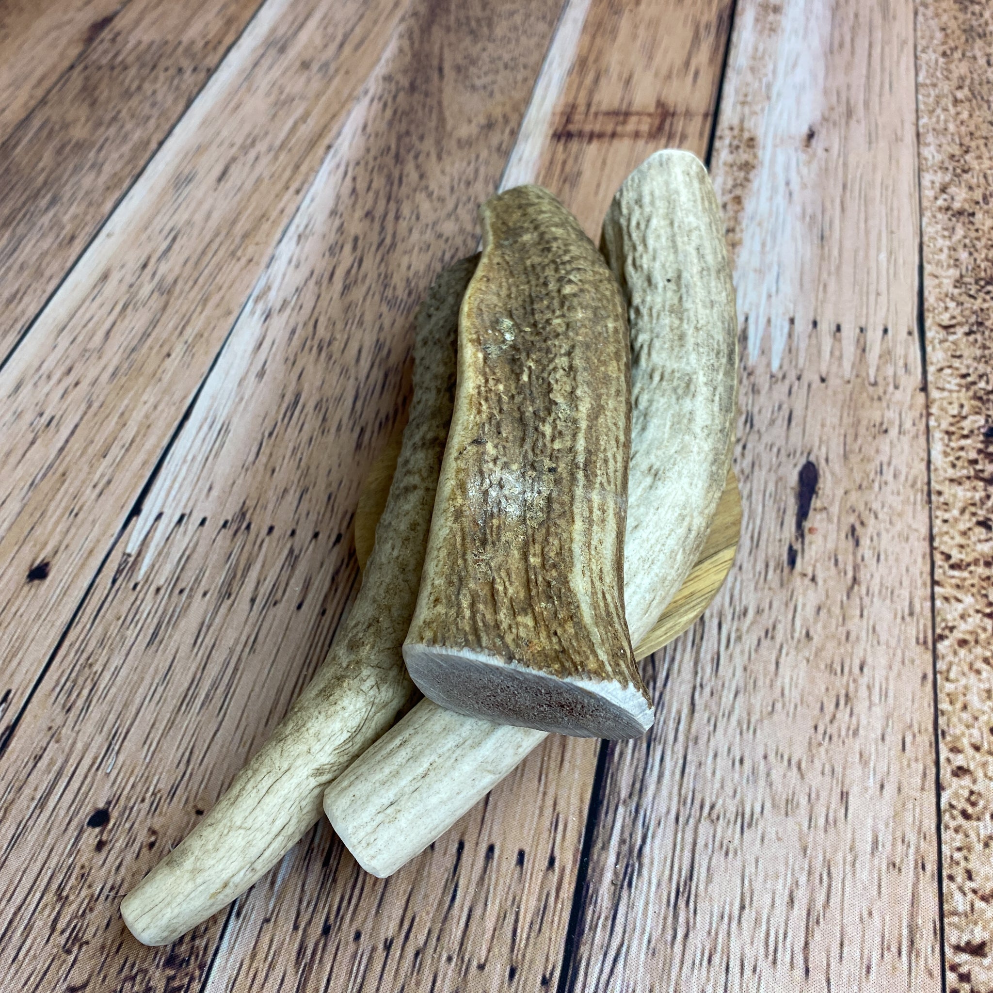 Medium Antler Chews