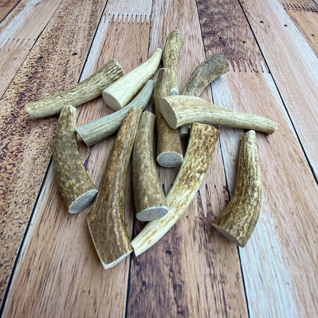 Mini Antler Chews