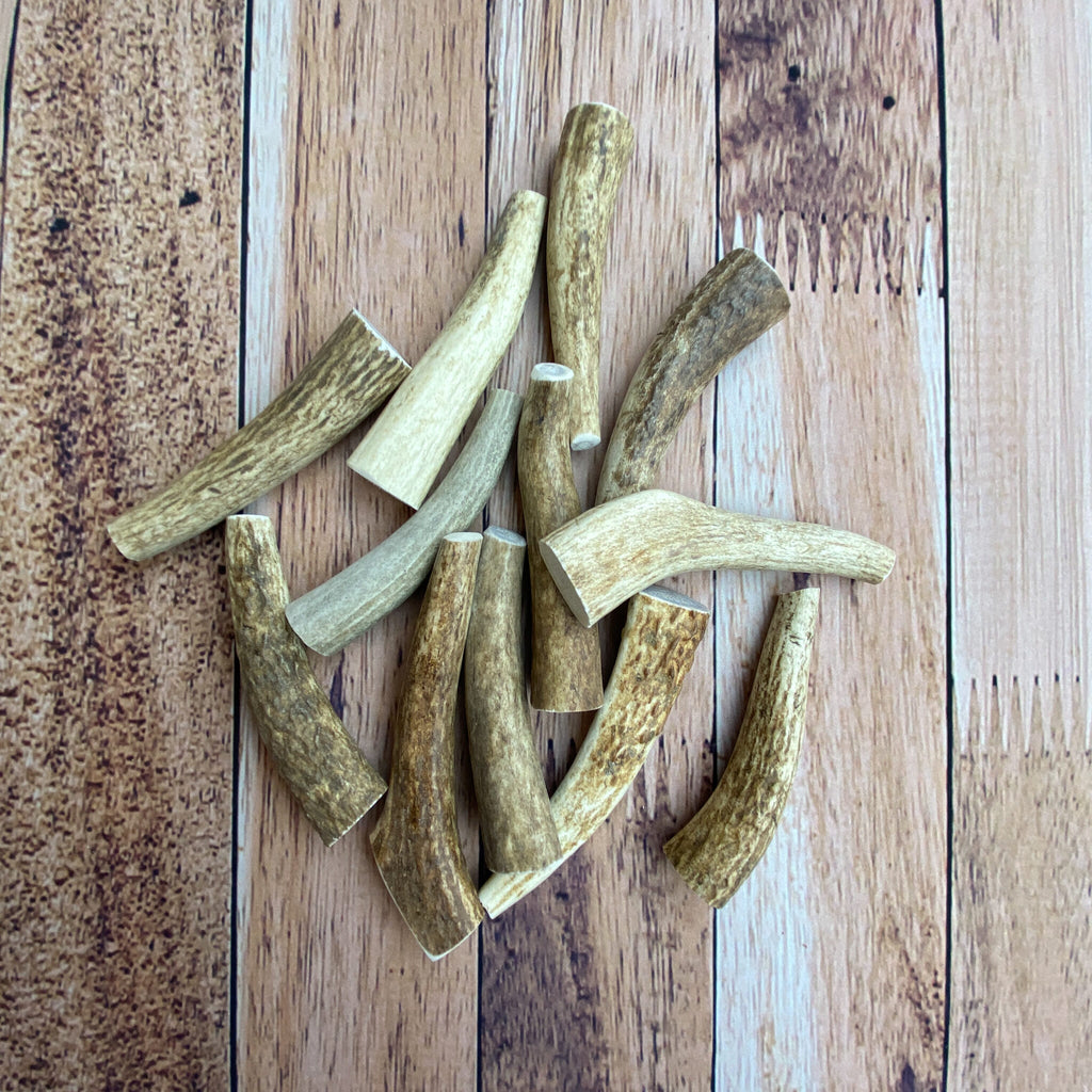 Mini Antler Chews