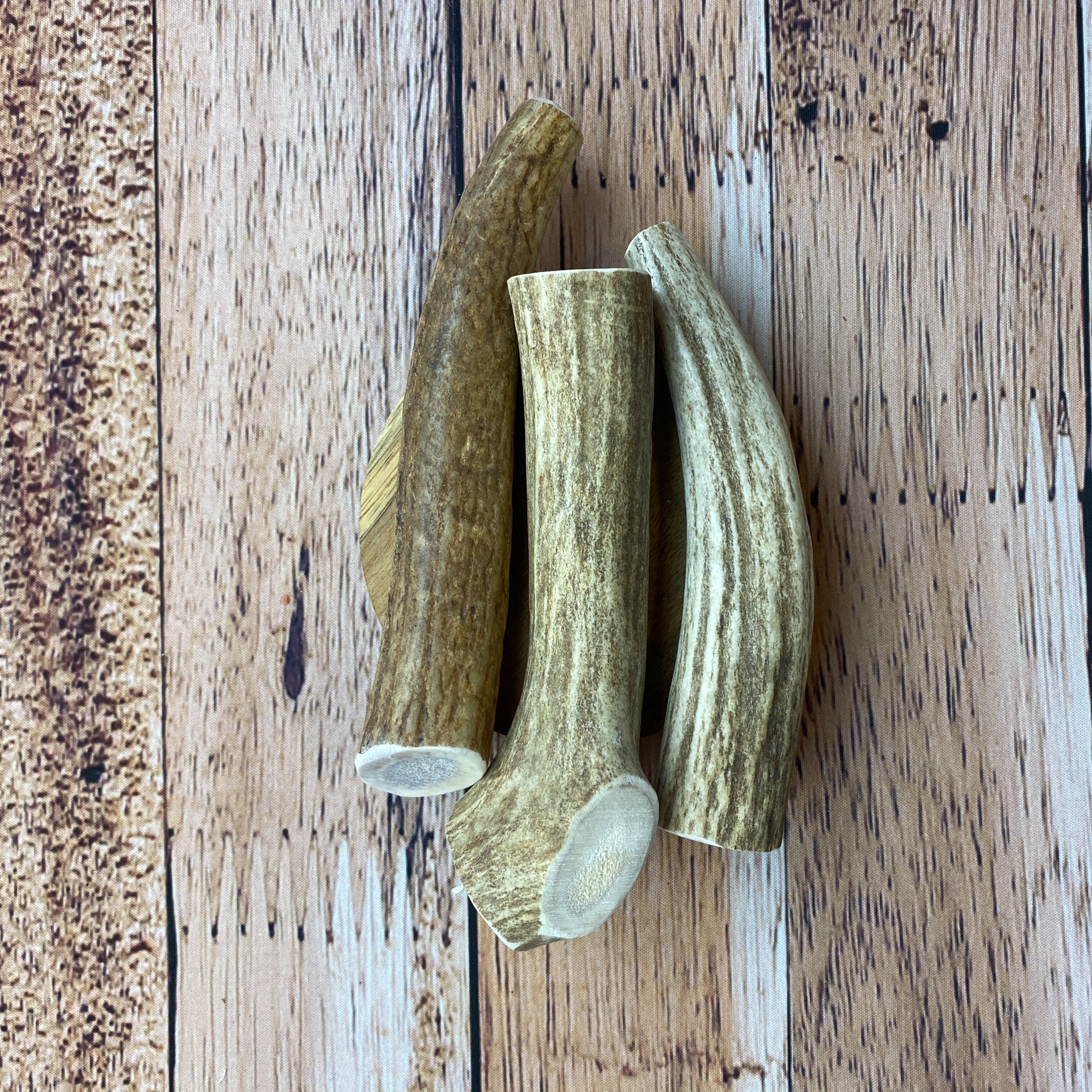 Small Antler Chews