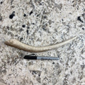 Footer Antler Chews