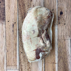 Elk Whole Strip Loin (New York)