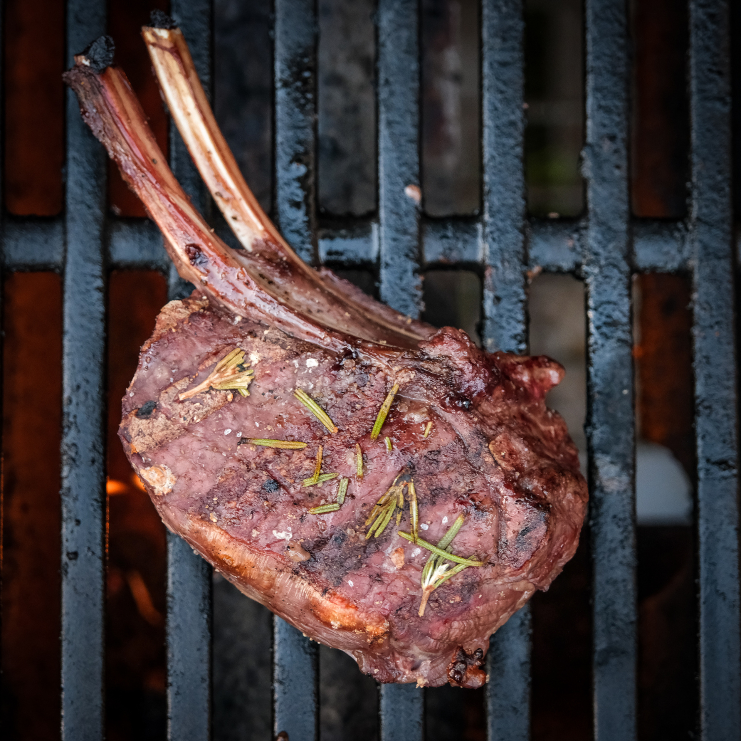 Elk Tomahawk Ribeye Steak