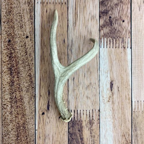 antler chews for pets - jack chaw junior